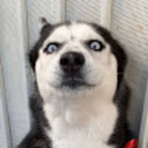 Meet your Posher, B.